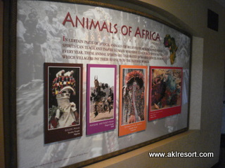 Hallway display